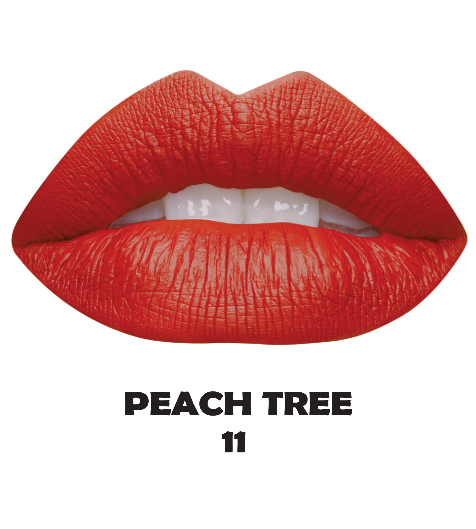 Lip & Eye Pencil - Tv Parlour