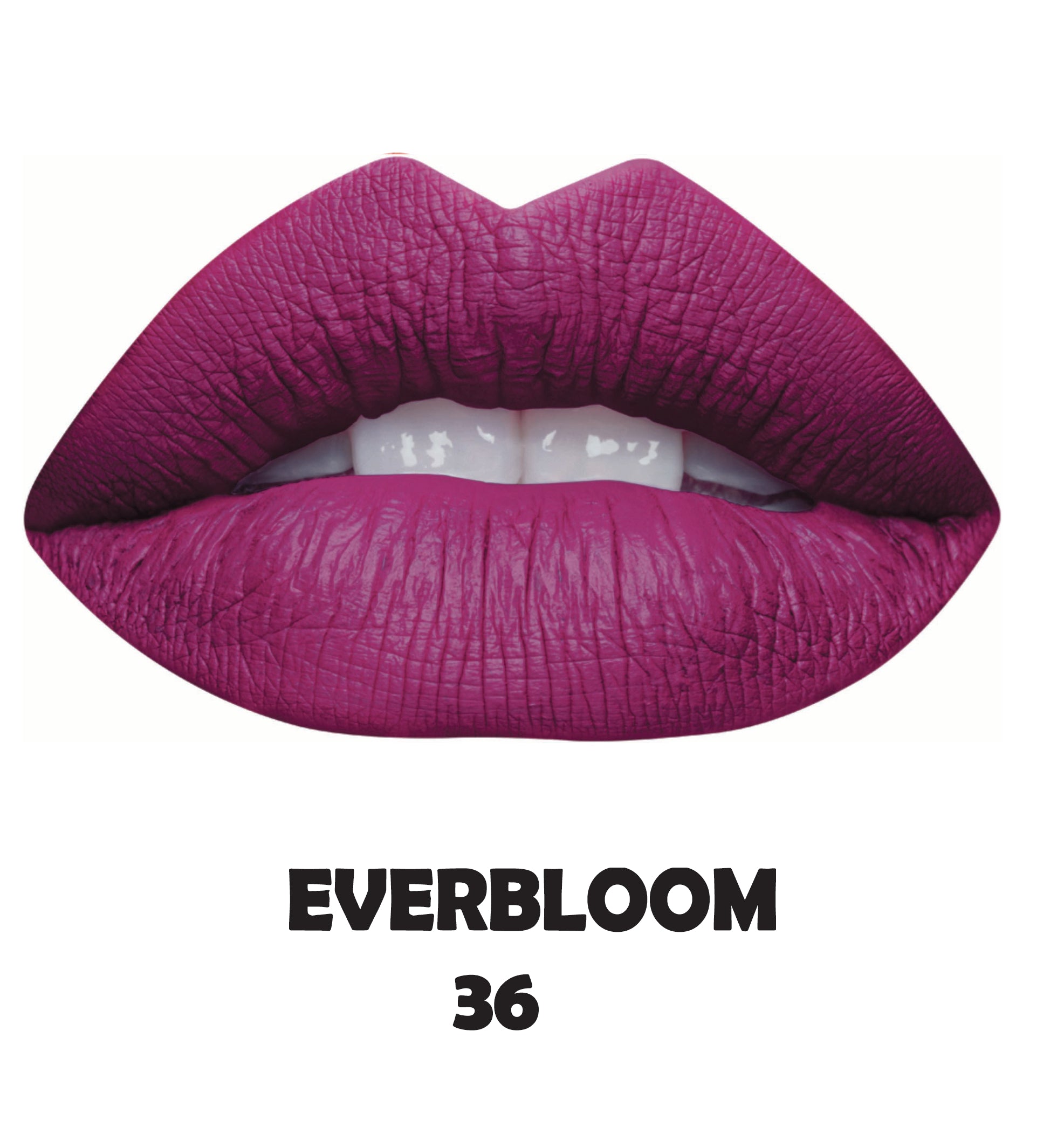 Lip & Eye Pencil - Tv Parlour