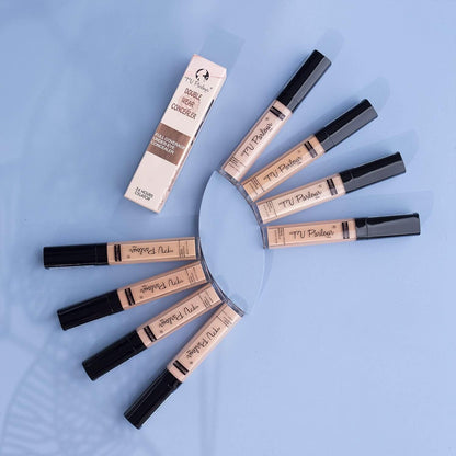 Double Wear Concealer